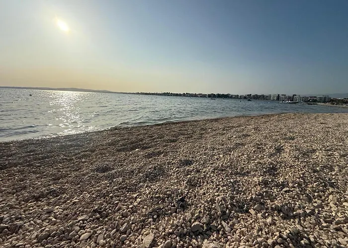 La Diva Eva * 维尔